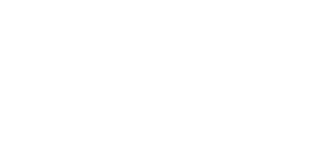 allezy white logo